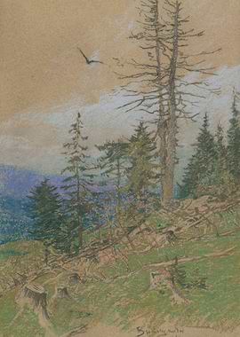 Mountain Forest Landscape with Bird
