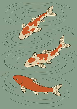 Three Koi Fish in Water
