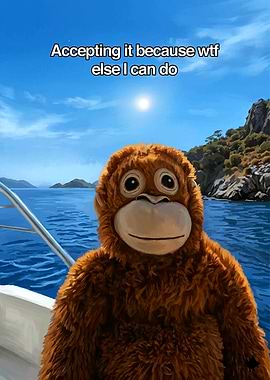 Accepting it because wtf else I can do