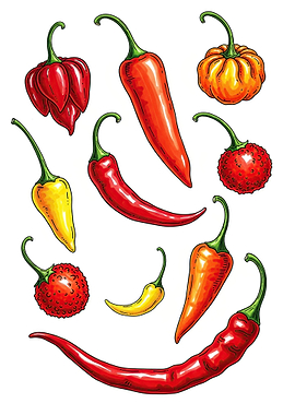 Assortment of Colorful Chili Peppers
