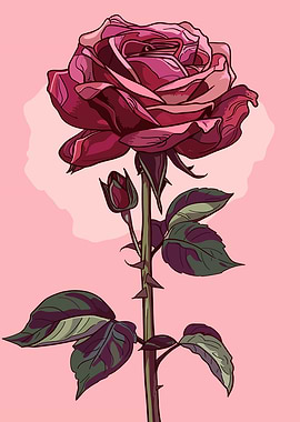 Single Red Rose with Bud