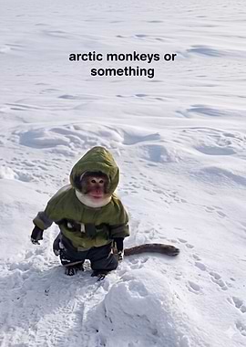 arctic monkeys or something