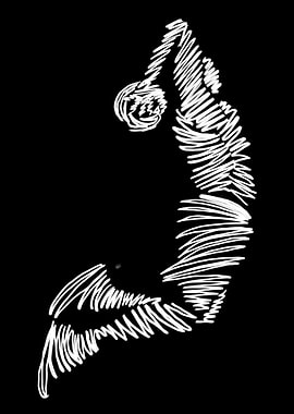 Abstract basketball Scribble Art