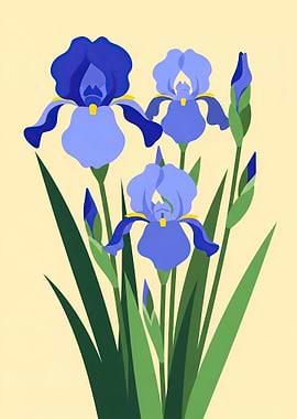 Blue Irises with Green Stems