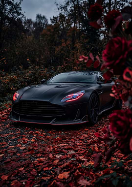 Matte Black Aston Martin DBS Superleggera
