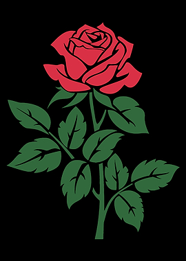 Red Rose with Green Leaves