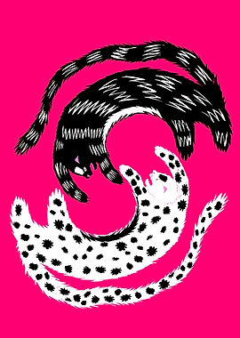 Yin Yang Cheetahs