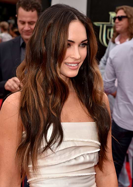 Megan Fox at a Red Carpet Event