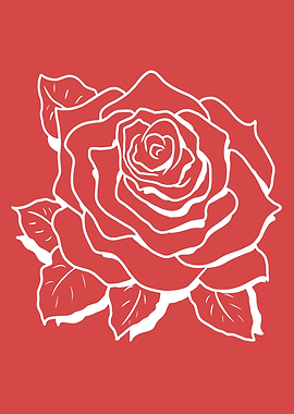 White Rose Outline on Red Background