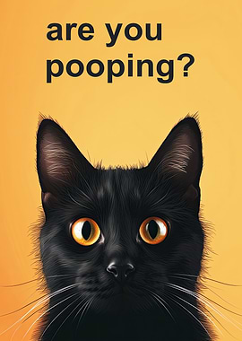 Black Cat - Are You Pooping?