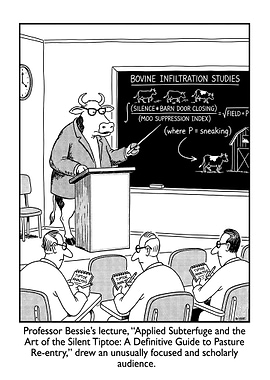 Cow Professor Teaches Bovine Infiltration Studies