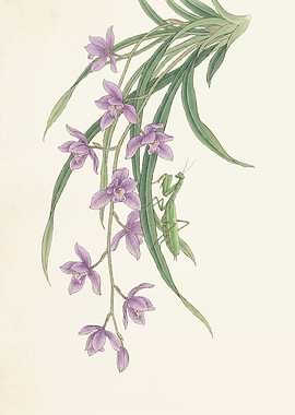 Orchids and Praying Mantis Painting