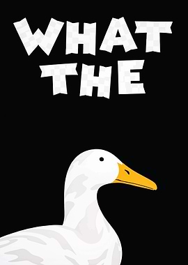 What The Duck Funny Meme