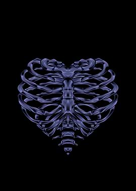 Heart-shaped Ribcage Illustration