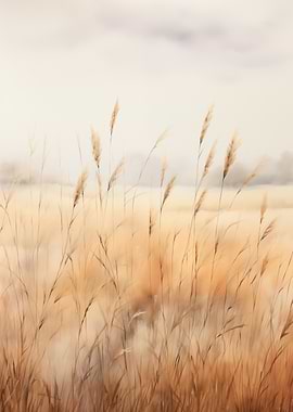 Golden Reeds in Soft Light