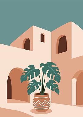 Monstera Plant in Courtyard