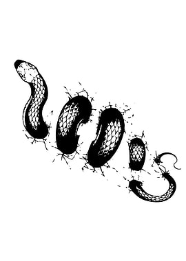 Black Snake Forming the word 'SOOS'