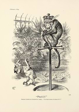 Monkey King and Cockatoo Cartoon