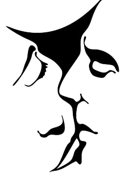 Optical Illusion Face Silhouette