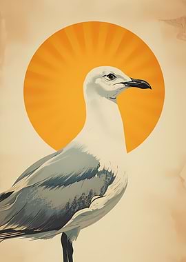 Seagull with Sun Halo