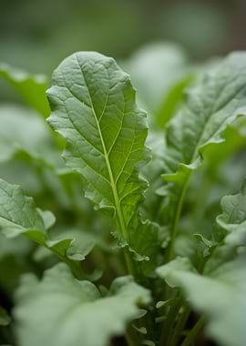 Close-up of a green leaf
