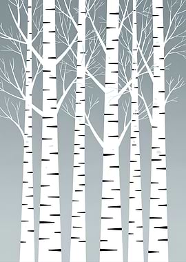 Winter Birch Trees