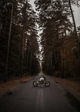 Motorcycle on a forest road