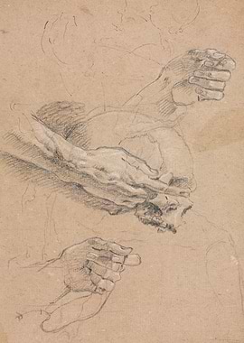 Study of Hands and Skull