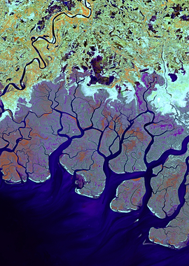 Indus River Delta — Pakistan