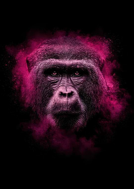 Gorilla with Pink Smoke Explosion