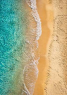 Aerial View of a Tropical Beach