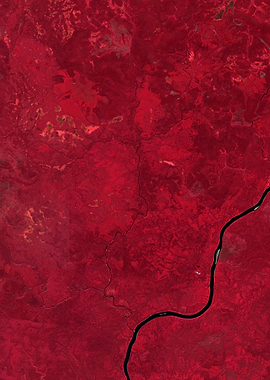 Siberian Taiga — Russia's Boreal Forest