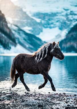 Horse running in a lake