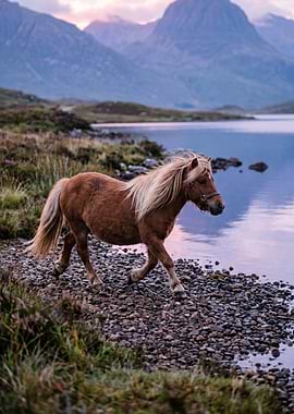 Pony by a Mountain Lake at Dusk