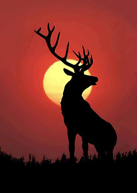 Deer Silhouette Against Sunset