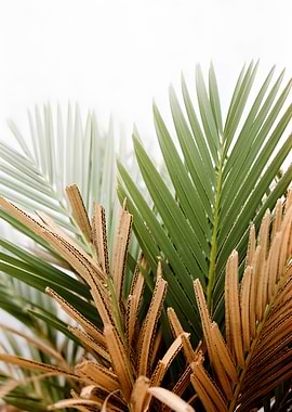 Palm Fronds with Cardboard Texture