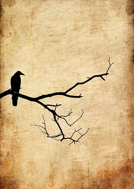 Silhouette of a crow on a branch