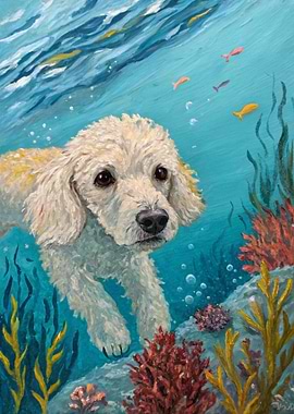 Dog swimming underwater