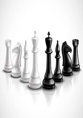 Black And White Chess Pieces