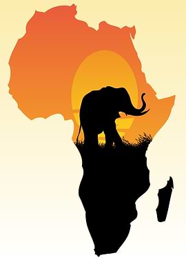 African Elephant Sunset Silhouette