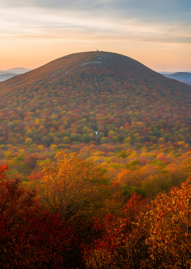 Autumn Mountain Forest Sunrise