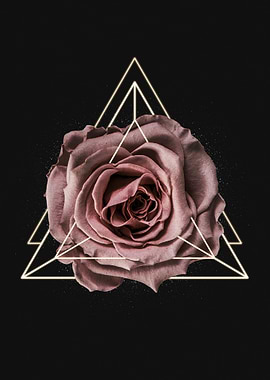 Rose with Geometric Overlay