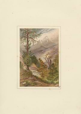 Mountain Landscape with Pine Tree and Stream
