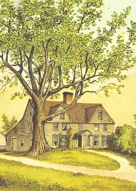 Old House Under a Large Tree Painting