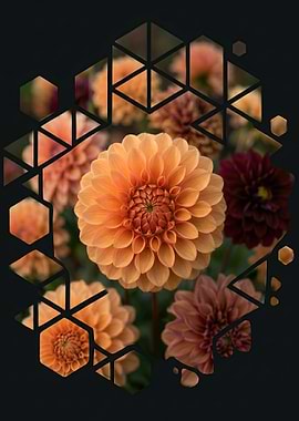 Geometric Overlay on Dahlia Flowers