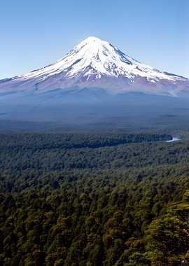 Snow-capped volcano over a dense forest