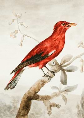 Vibrant Red Bird on a Branch Painting