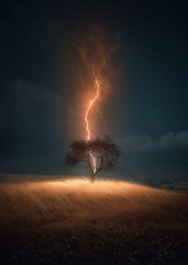 Lightning Strikes Lone Tree in Field