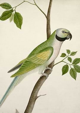 Green Parrot on a Branch Painting