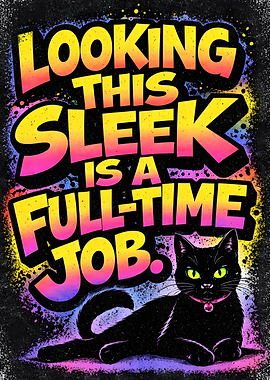 Black Cat Looking Sleek is a Full-Time Job